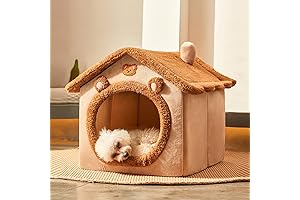 Igloo Dog House for Big Dog