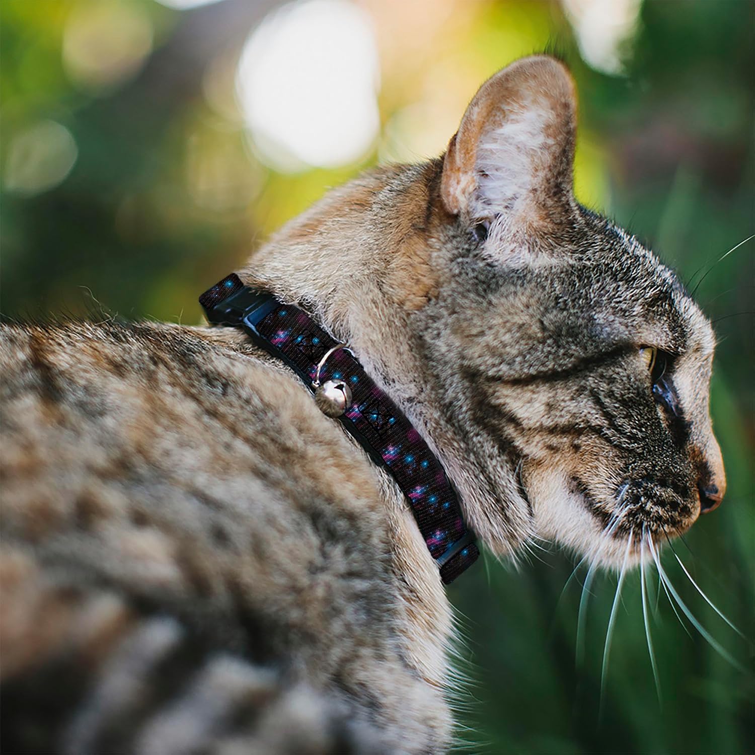Buckle-Down Breakaway Cat Collar | Orions Belt Constellation Durable Adjustable Bell ID Tag Ring