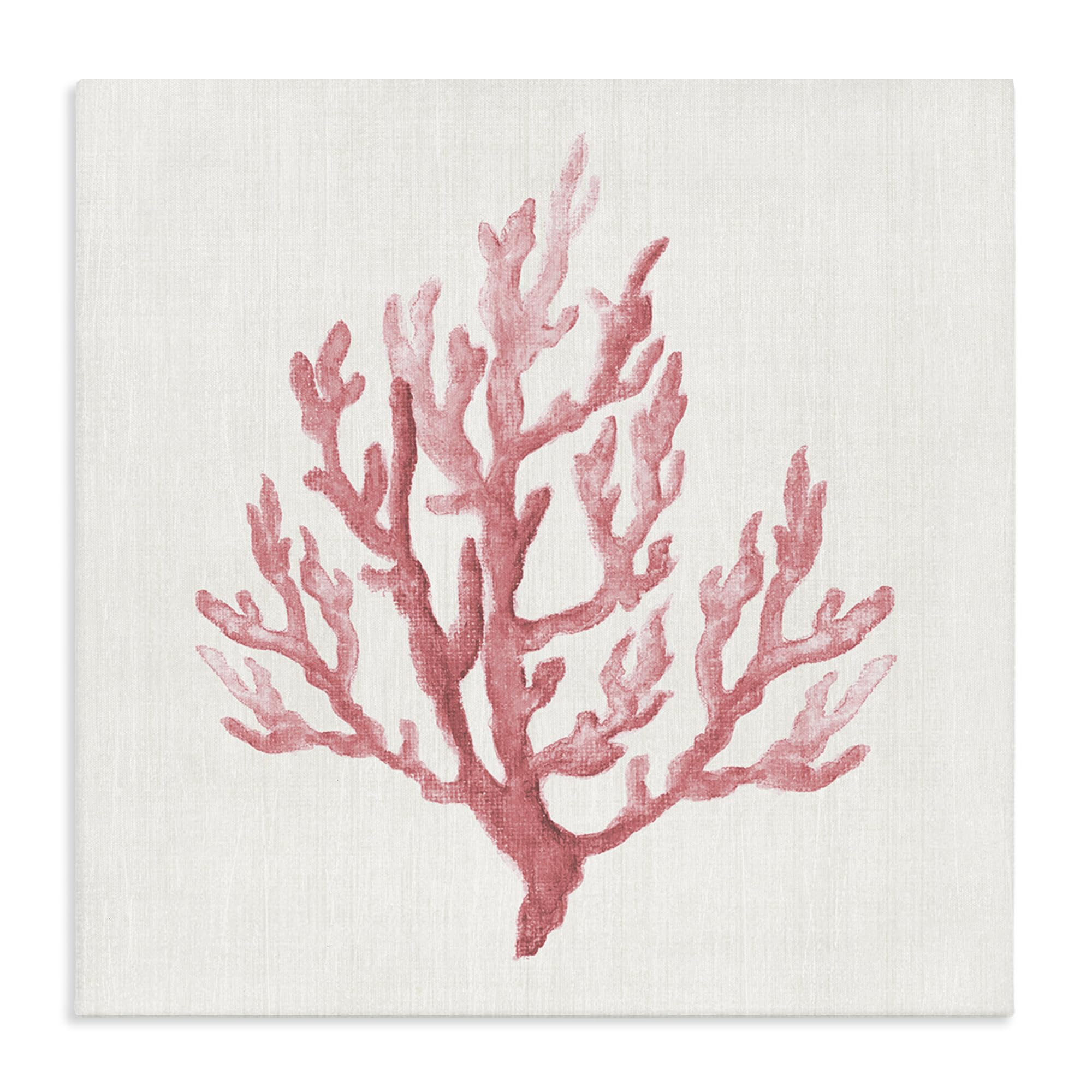 'Muted Pink Coral Branch'| Canvas Art