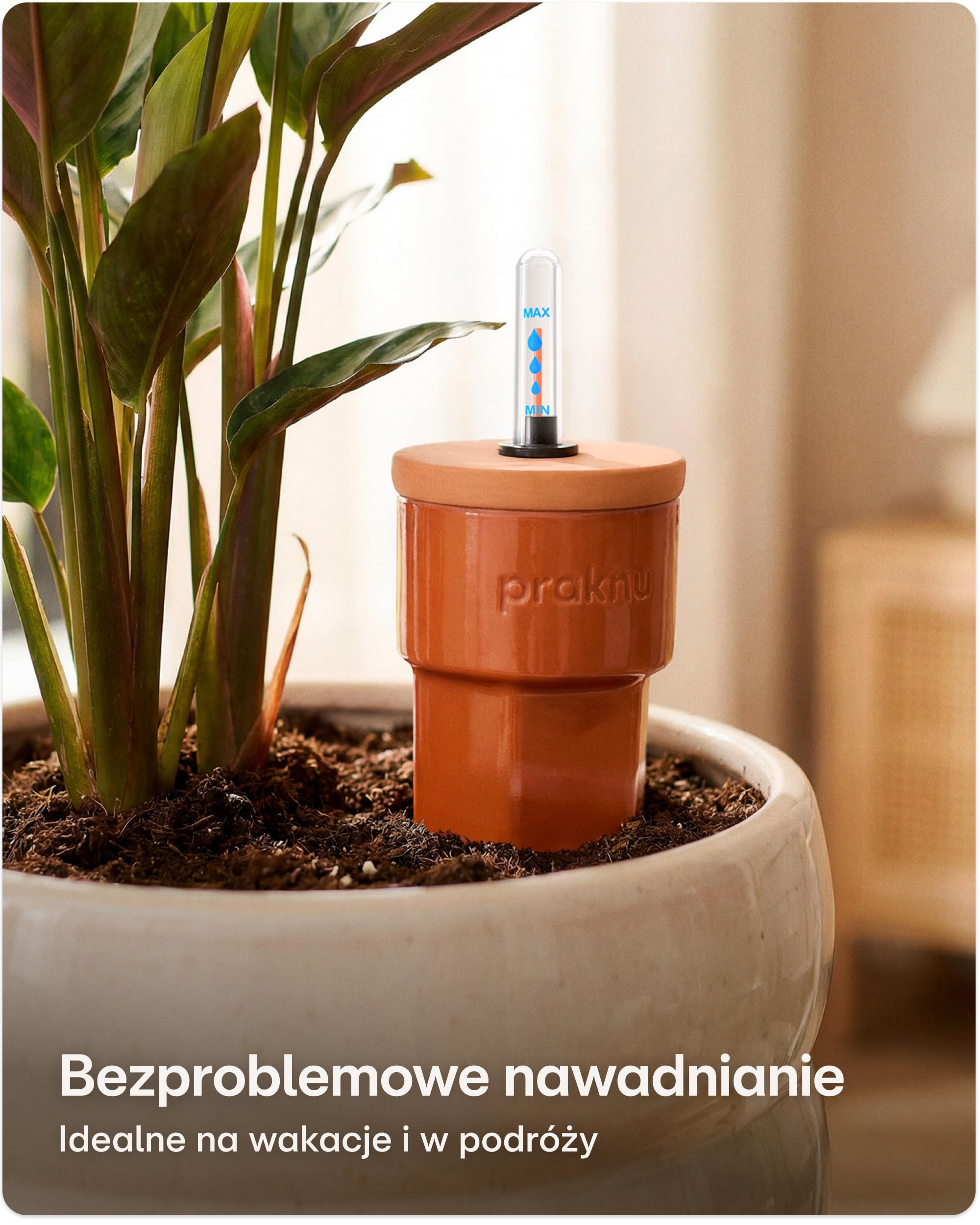 Praknu 3 x Stożki Gliniane do Nawadniania z Pokrywką i Wskaźnikiem Poziomu Wody – do 10 Dni Automatycznego Podlewania – Łatwe Czyszczenie – Dozownik Wody na Czas Urlopu | Łatwe czyszczenie, automatycznie zasila rośliny pokojowe na urlopie, do użytku w pom
