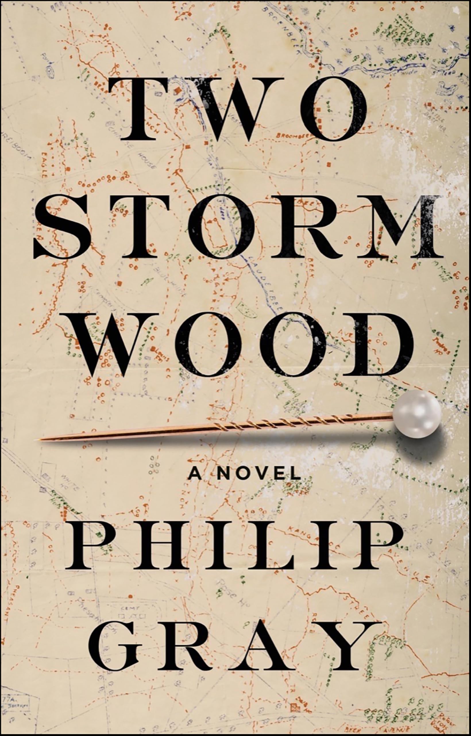 Two Storm Wood: A Novel