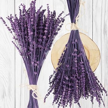 Dried Preserved Lavender Flowers Bundle-Natural Dried Lavender Bouquet 180-200 Stems 15-17" for Wedding Home Shower Vase Decor, Aromatherapy, Fragrance, Fresh, Dry, 2 Packs