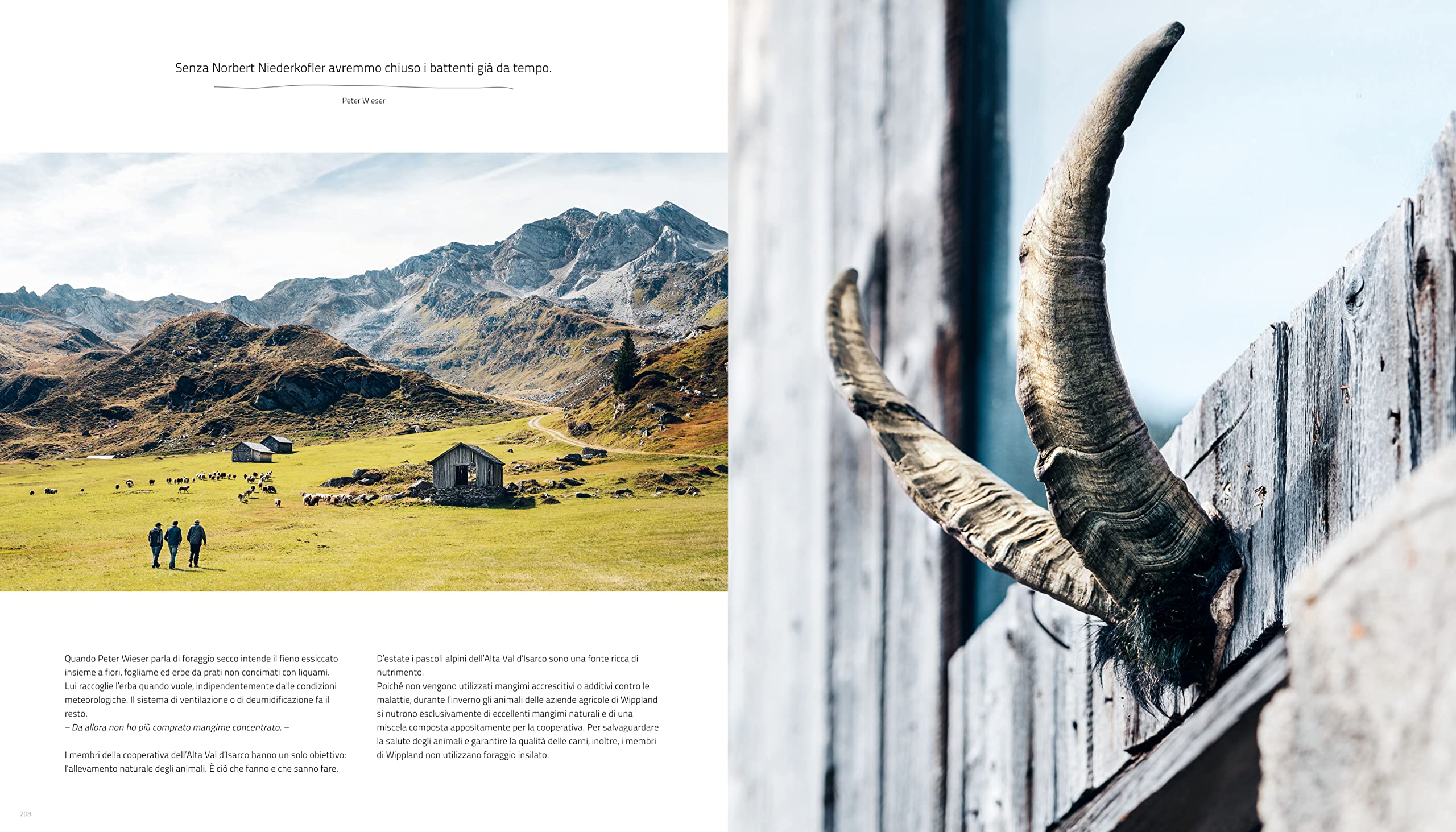 Cook The Mountain [Edizione italiana; 2 Bde. im Schuber]: The Nature Around You. 2020 Premiato con il German Cookbook Award Gold & GOURMAND AWARD GERMANY »Man Chef Book«