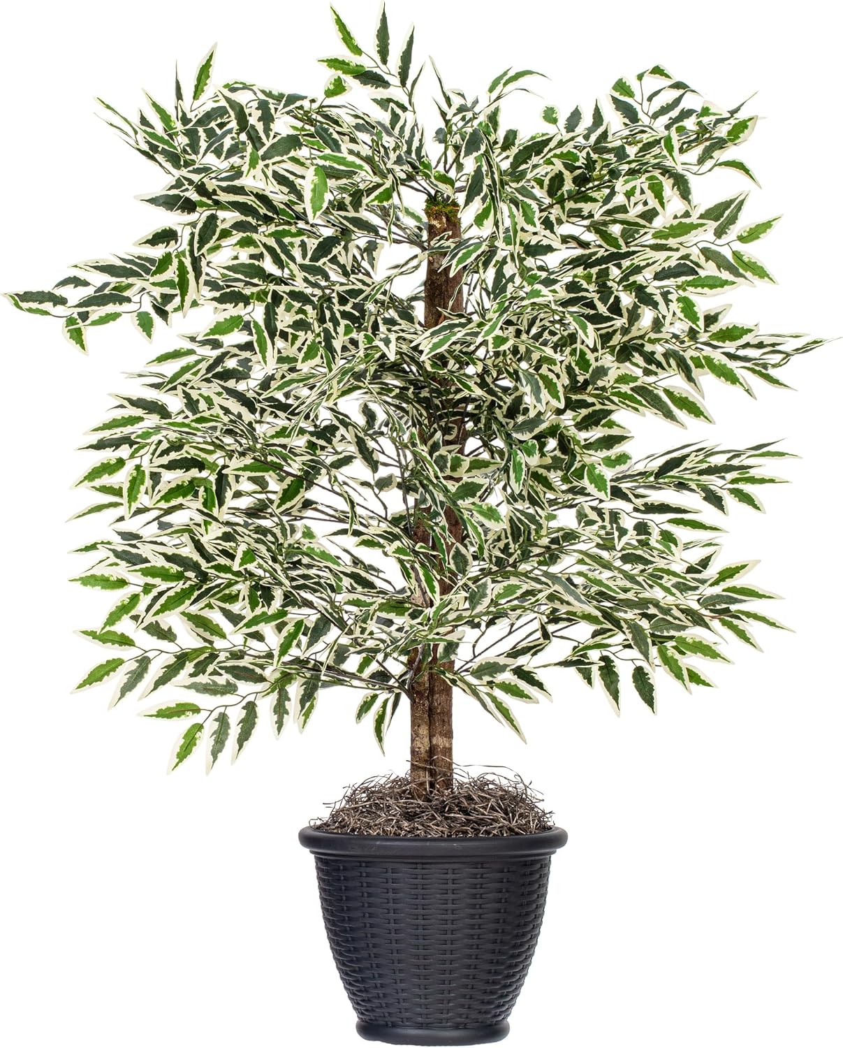 Vickerman 4' Indoor Artificial Variegated Smilax Bush, Brown Plastic Container.