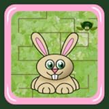 game Hare Maze