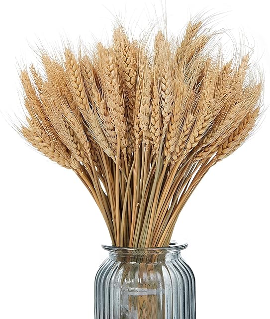Ancokig Dried Wheat Natural Dry Wheat Decorative Wheat Bouquet Wheat Dried Flowers for Wedding Centrepieces Home Balcony Party Table Vase Decoration (Brown, 40 cm)