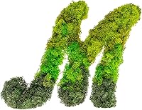 Vista 5 de Iniciales de monograma preservadas Moss Letter Art Design & Decor Arreglo de pared - Personalízalo
