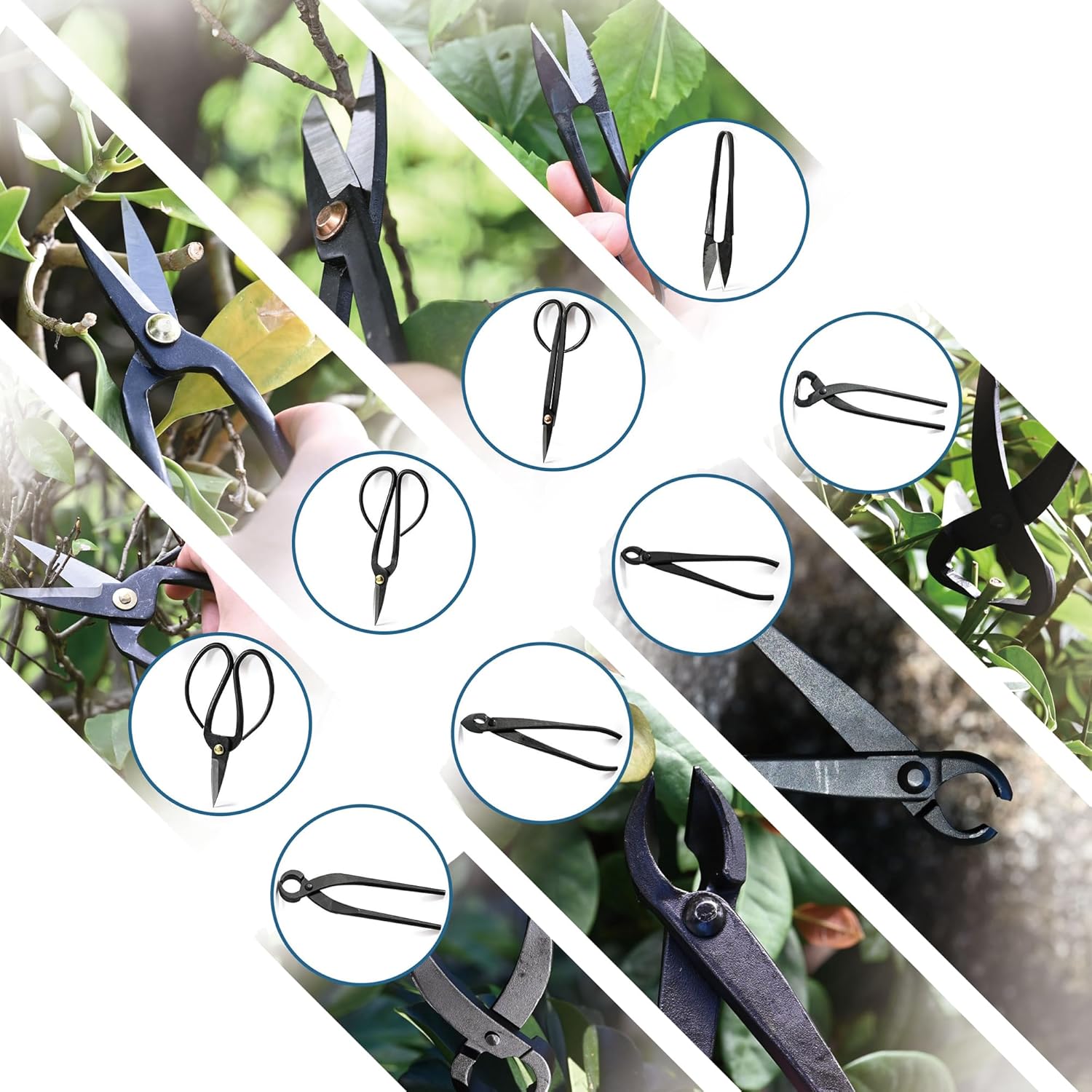 14-Piece Bonsai Tree Kit, Bonsai Tool Set, Carbon Steel Scissors Cutter Shears, Perfect Gardening Trimming Pruning Tools Jin Pliers, Rake with Spatula Starter Kit