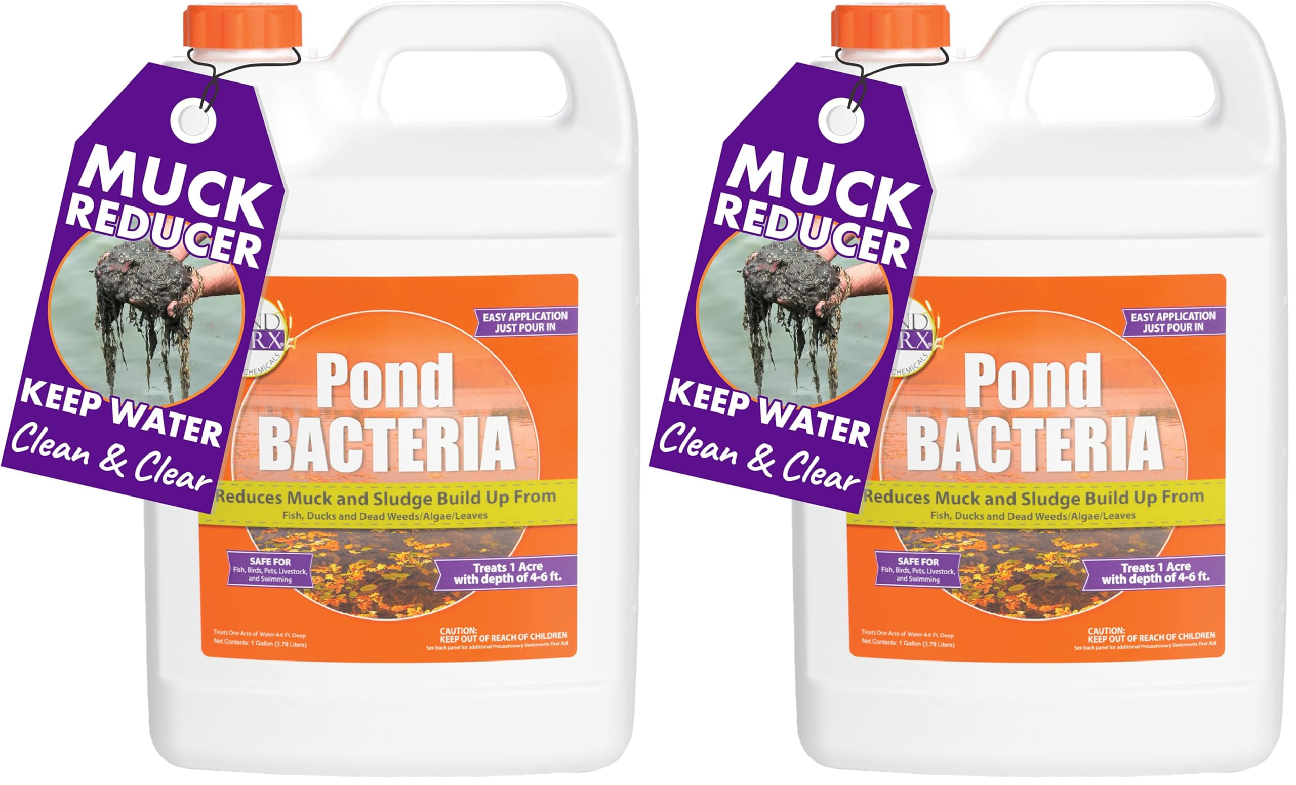 PondWorx Pond Bacteria - Formulated for Large Ponds, Water Features and Safe for Koi - Gallon (Pack of 2)