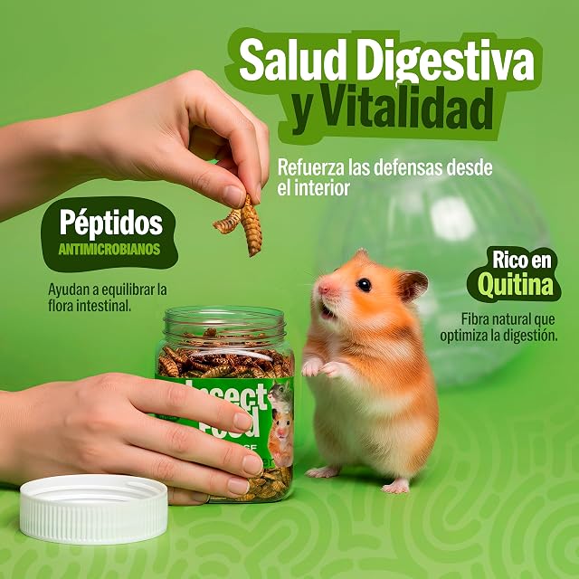 Foto 4 de 7 de Larvas de Mosca Soldado Negra para Roedores