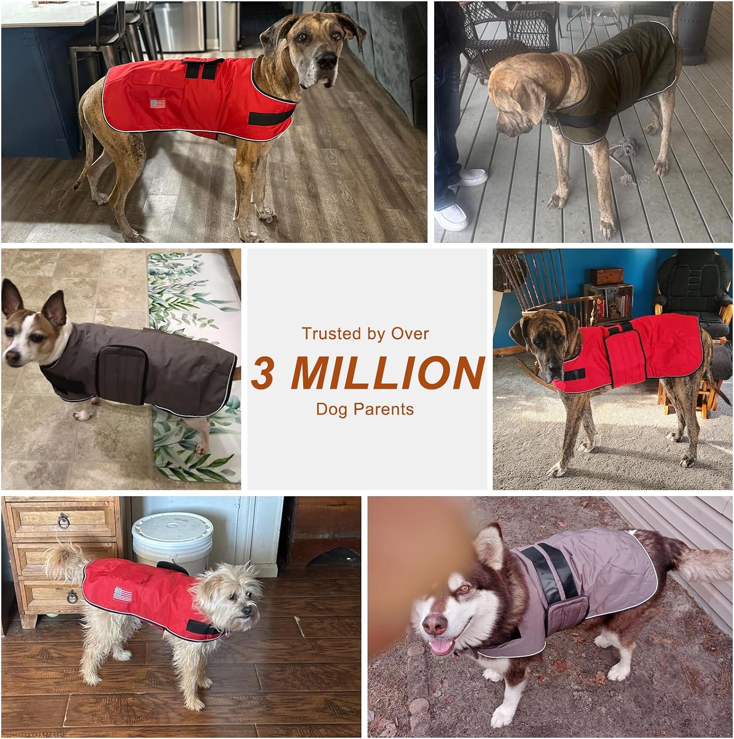 BEAUTYZOO Dog Winter Coat for XX-Large Dogs Waterproof, Warm Reflective Great Dane Oxford Canvas Jacket, Fleece Dog Cold Weather Coats Windproof for Female Male Dogs, Leopard XXL