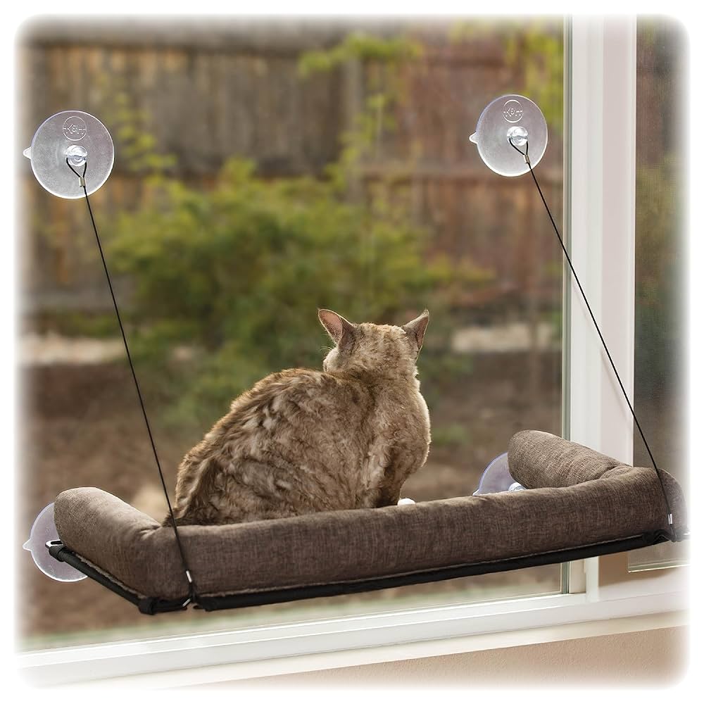 Amazon.com : K&H Pet Products EZ Mount Bolster Cat Window