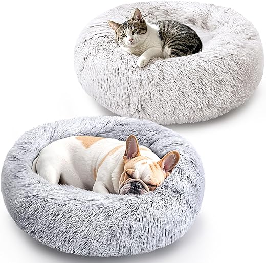 Cat Beds & Furniture