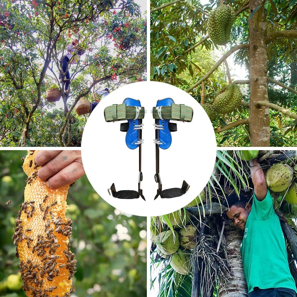 Tree Climbing Set Load Capacity 350lbs Tree Climbing Gear Adjustable Height Tree Climbing Equipment for Climbing Fruit Picking Tree Work