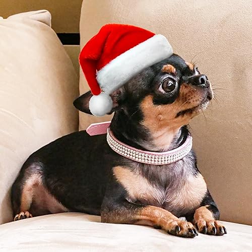 Miniatura 6 de Apasiri Collar de perro con diamantes de imitación para perros pequeños, collar de perro rosa, collar de cuero para perros medianos, lindo collar de