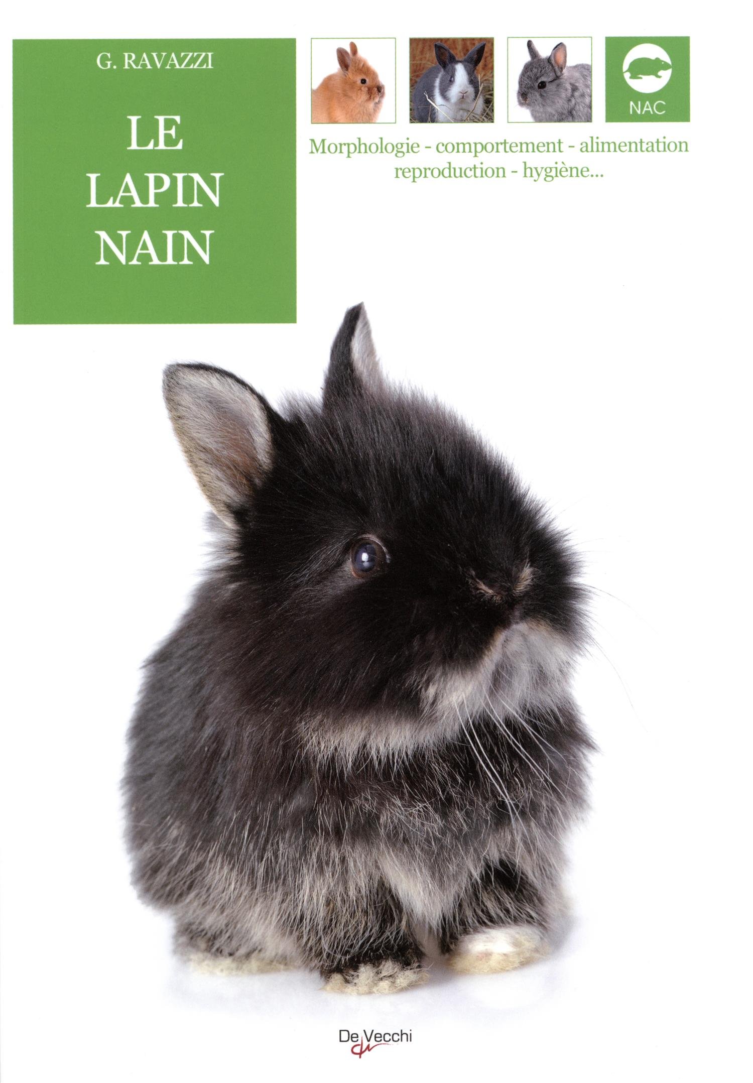 Mon Lapin Nain Le Choisir, Le Comprendre, Le Soigner thereasontohope.or.ke