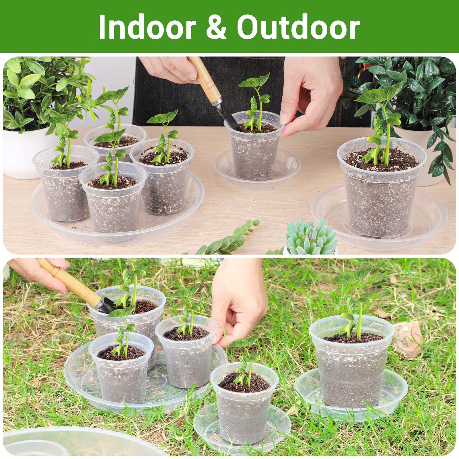 GREANER 30 paquetes de platillos transparentes para plantas, bandejas de plástico de 5 pulgadas para plantas, bandejas de goteo resistentes para plantas en maceta, bandejas sin agujeros para plantas