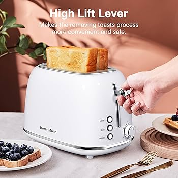 TRAITÉ DE PÂTISSERIE MODERNE Amazon.com: Roter Mond 2 Slice Toaster Retro Stainless Steel