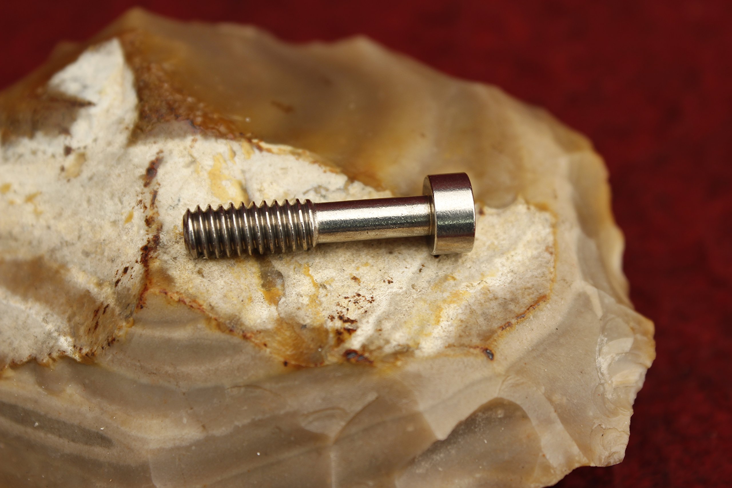 Kidd Takedown Screw for a 10/22® or Ruger® 10/22®- Silver