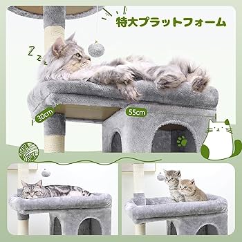 Amazon | Globlazer キャットタワー 猫タワー 大型猫用頑丈