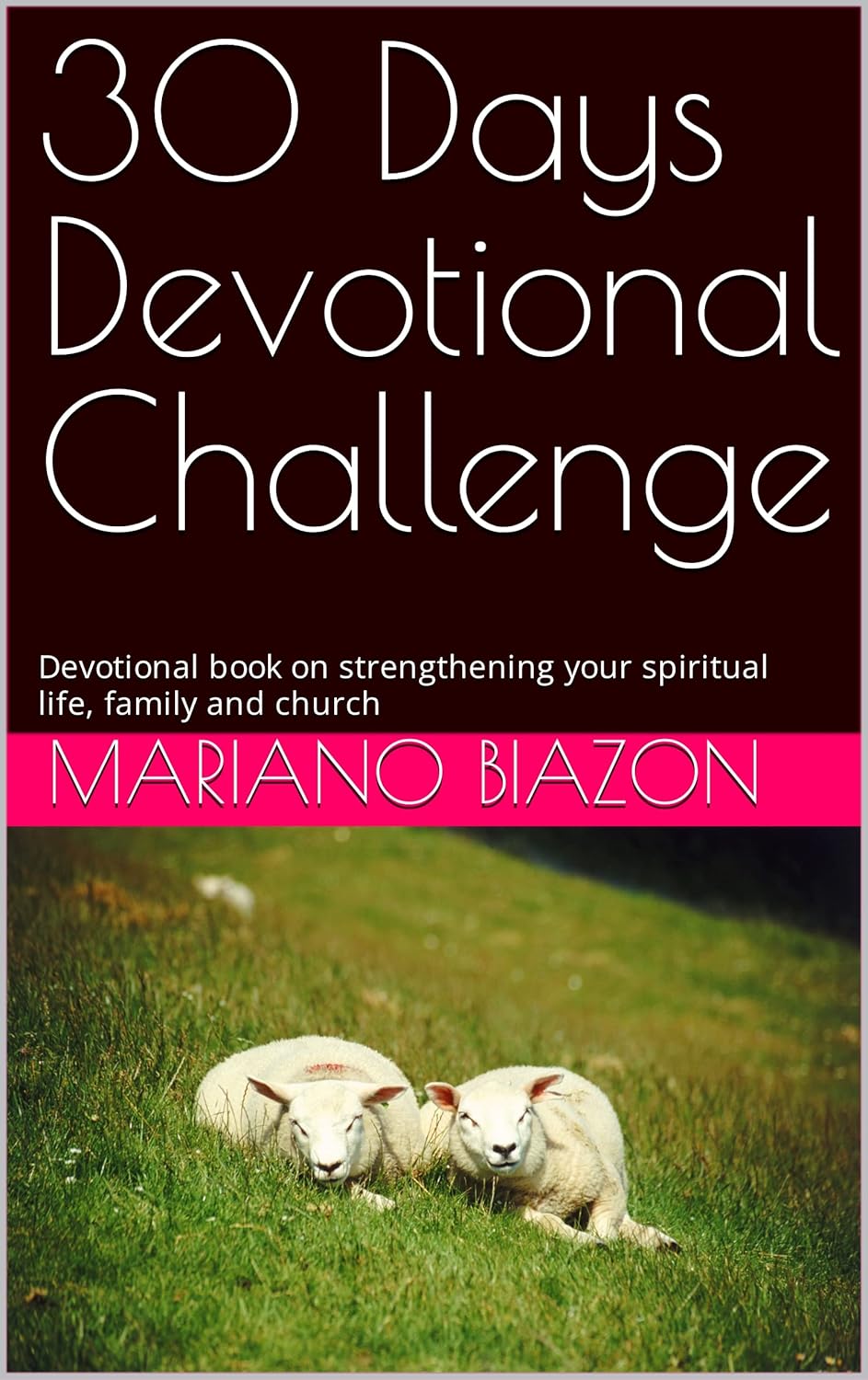 30 Days Devotional Challenge Devotional book on strengthening your