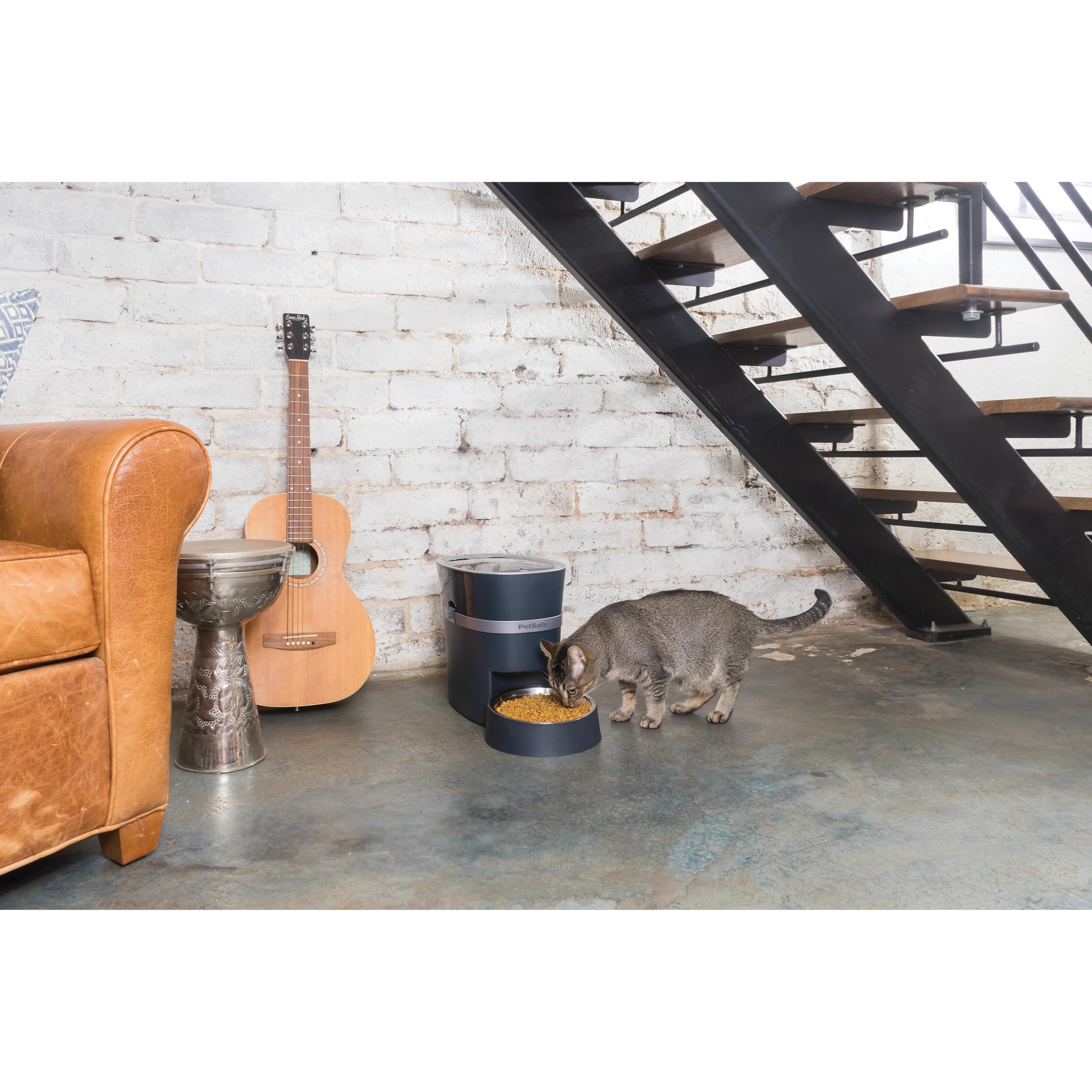 PetSafe Smart Feed Comedero Automático Wi-Fi | Programable por App, Control de Raciones, Cuenco de Acero Inoxidable
