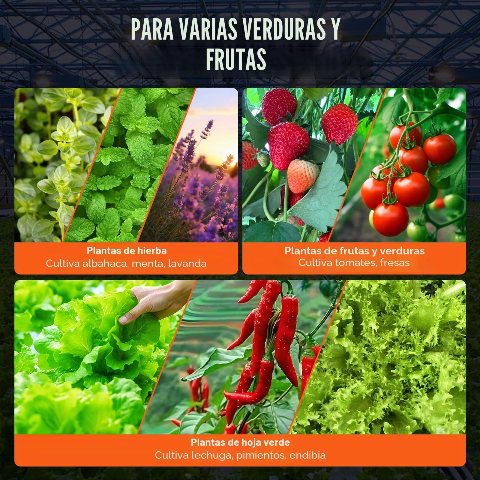 VEVOR DWC Sistema de Cultivo hidropónico, Kit de Goteo Superior, Cultivo en Agua Profunda de 20 l, 2 Cubos, con Bomba de Aire, Piedras de Aire, Dispositivo de Nivel de Agua, para Verduras de Hoja