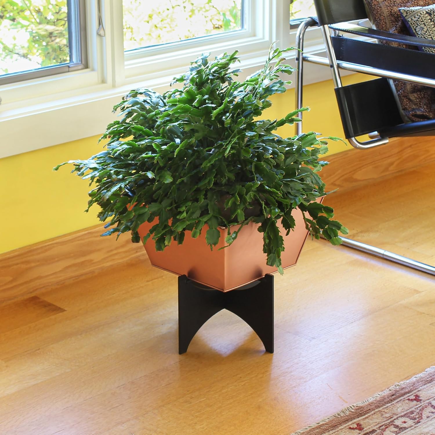 Zaha I Planter- Copper Plated Tapered Planter
