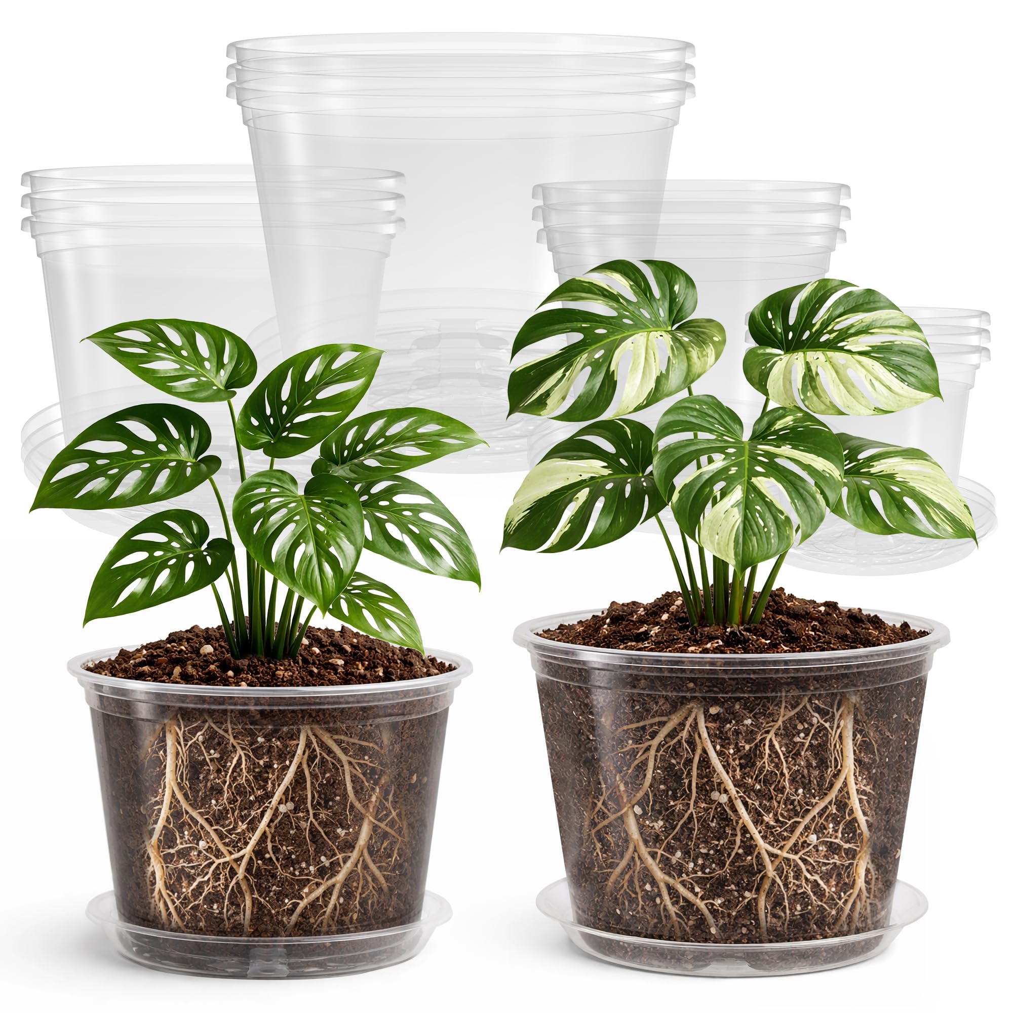 Pots de jardin transparents Bluepro lot de 12 grands contenants en plastique perforé