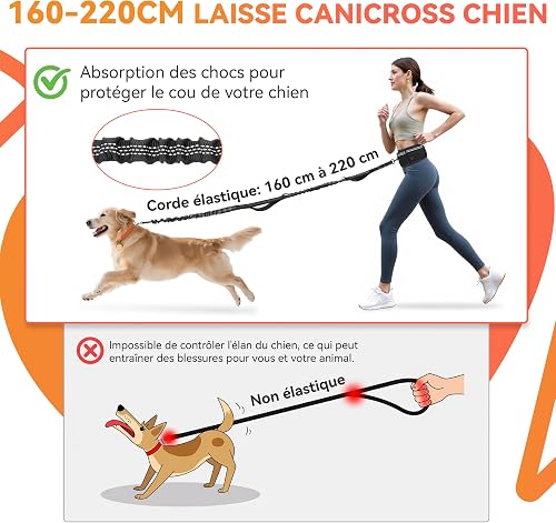 Looxmeer Hands Free Dog Running Lead with Adjustable Waist Belt 1.6–2.2m - 5