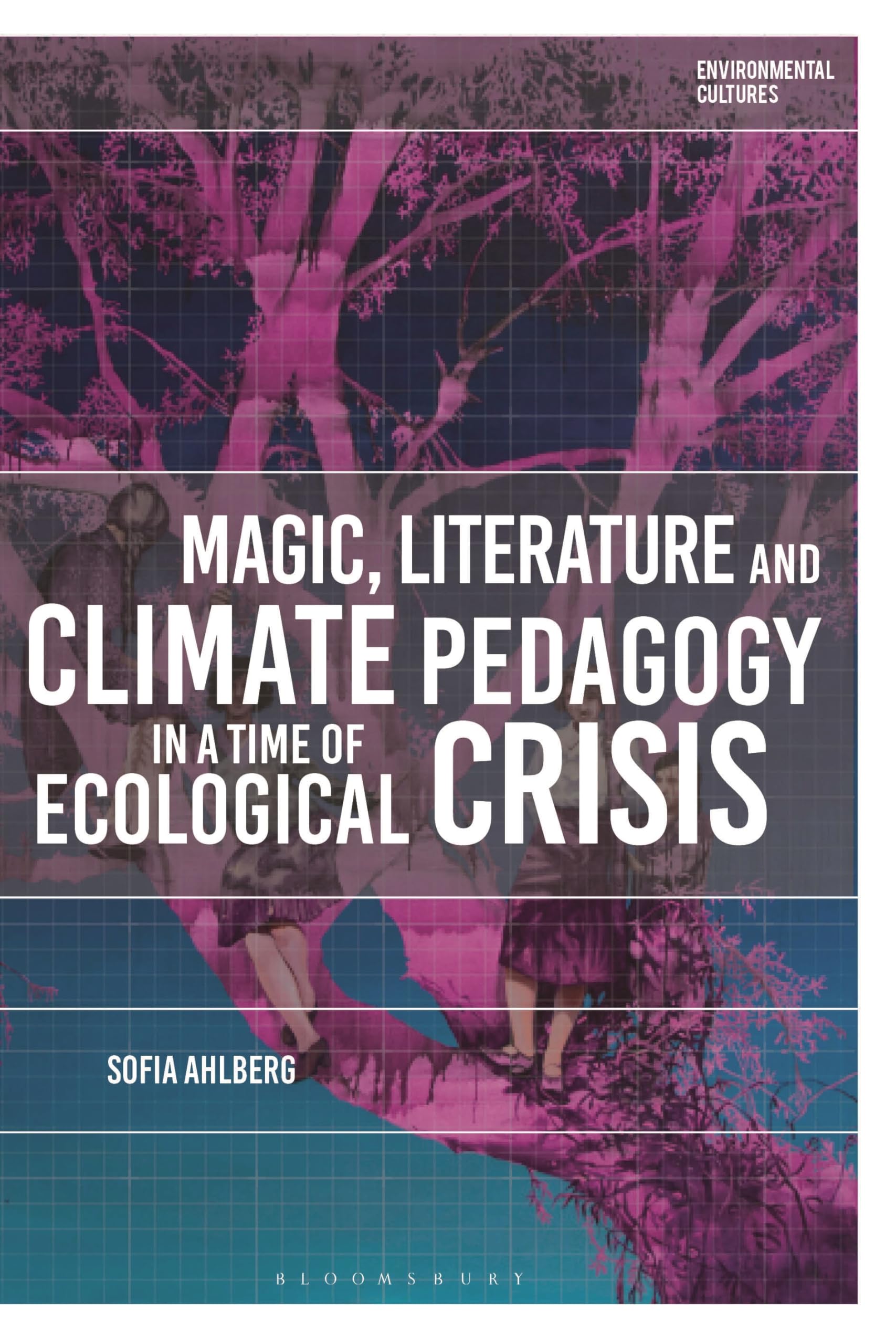 Magic, Literature and Climate Pedagogy in a Time of Ecological Crisis (Environmental Cultures)