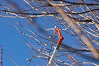 Vista 8 de Gancho Práctico EZ SMART, Gancho Utilitario Multiusos, Codo Ajustable, Se Atornilla a la Barra de Extensión de Rosca Estándar para Colgar Comederos