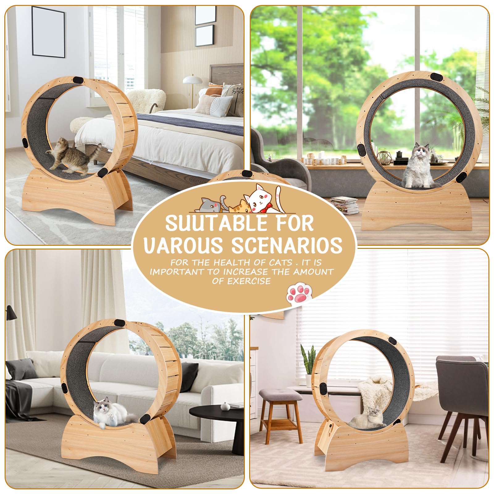 Rueda de Ejercicio de Madera Maciza para Gatos, pérdida de Peso, Ejercicio Diario, Rueda de Actividad física para Correr, Girar, rascar, Roble