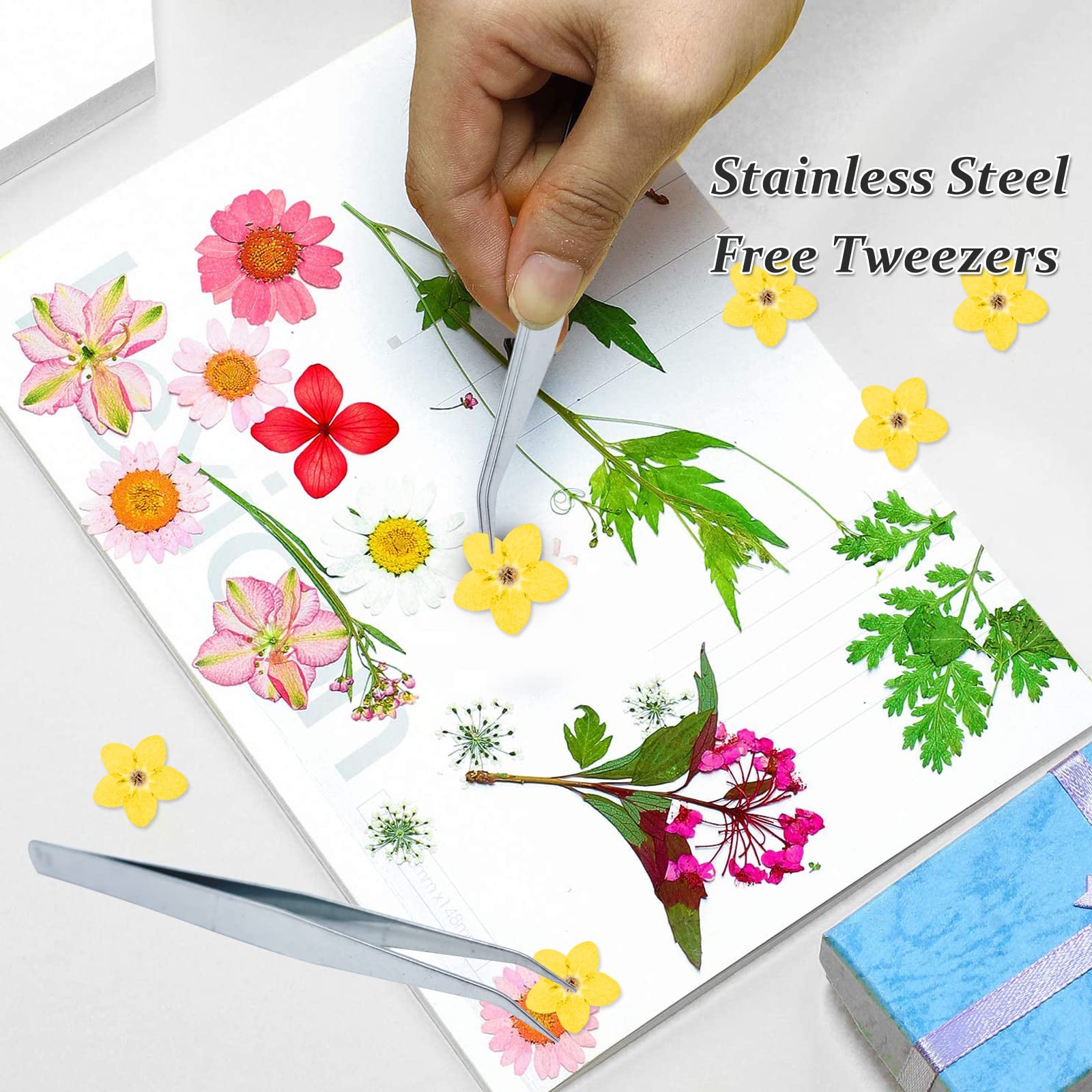 Fiori secchi pressati non ti scordar di me per stampo in resina, 60 fiori secchi gialli naturali con forcipe per gioielli in resina, candele, biglietti, decorazioni fai da te per nail art e fiori