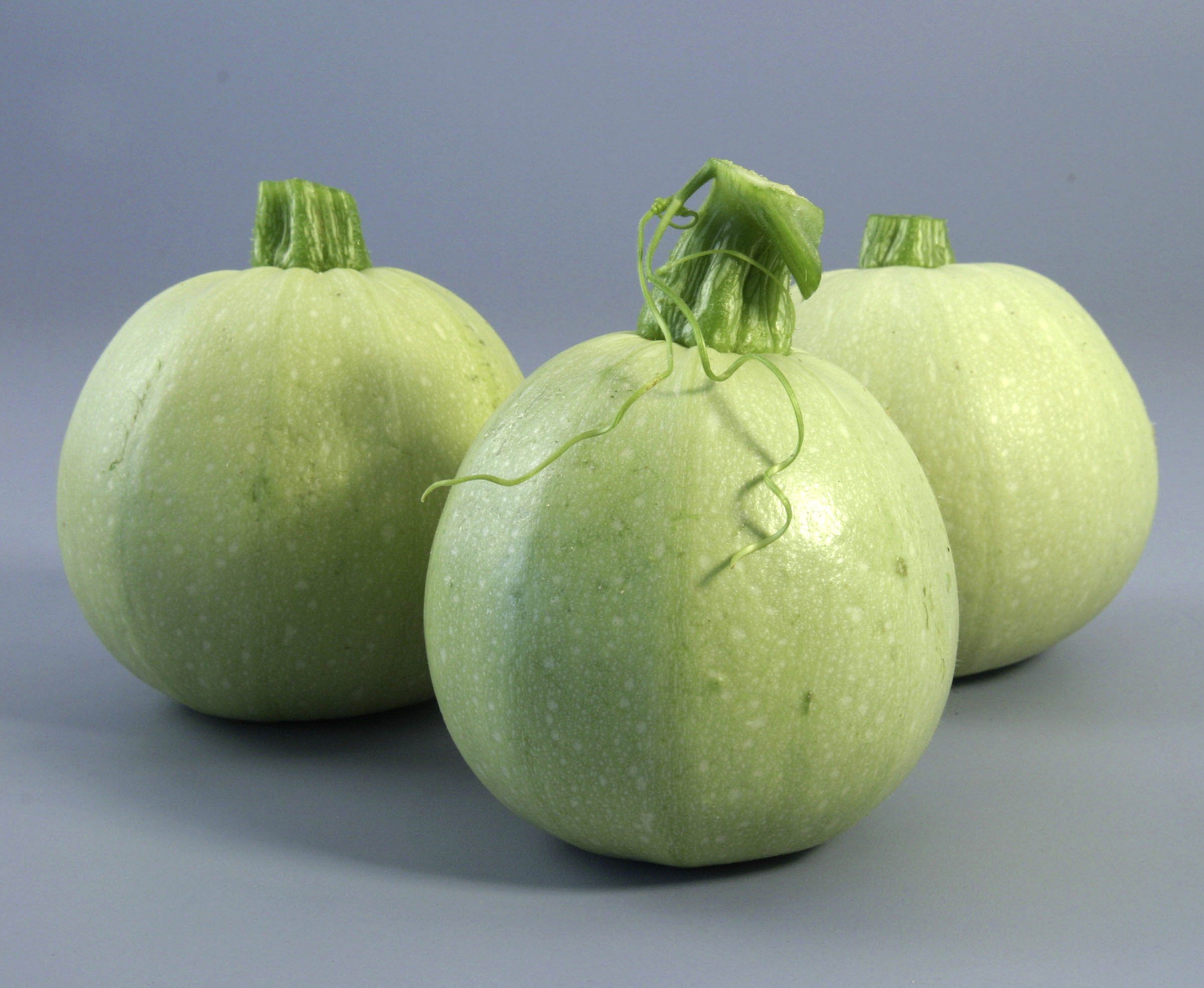 Indica Summer Squash-Round Desi Type chappan kadu, 30 Seeds Pack x 2packets (B018Y50RBY) Amazon Price History, Amazon Price Tracker