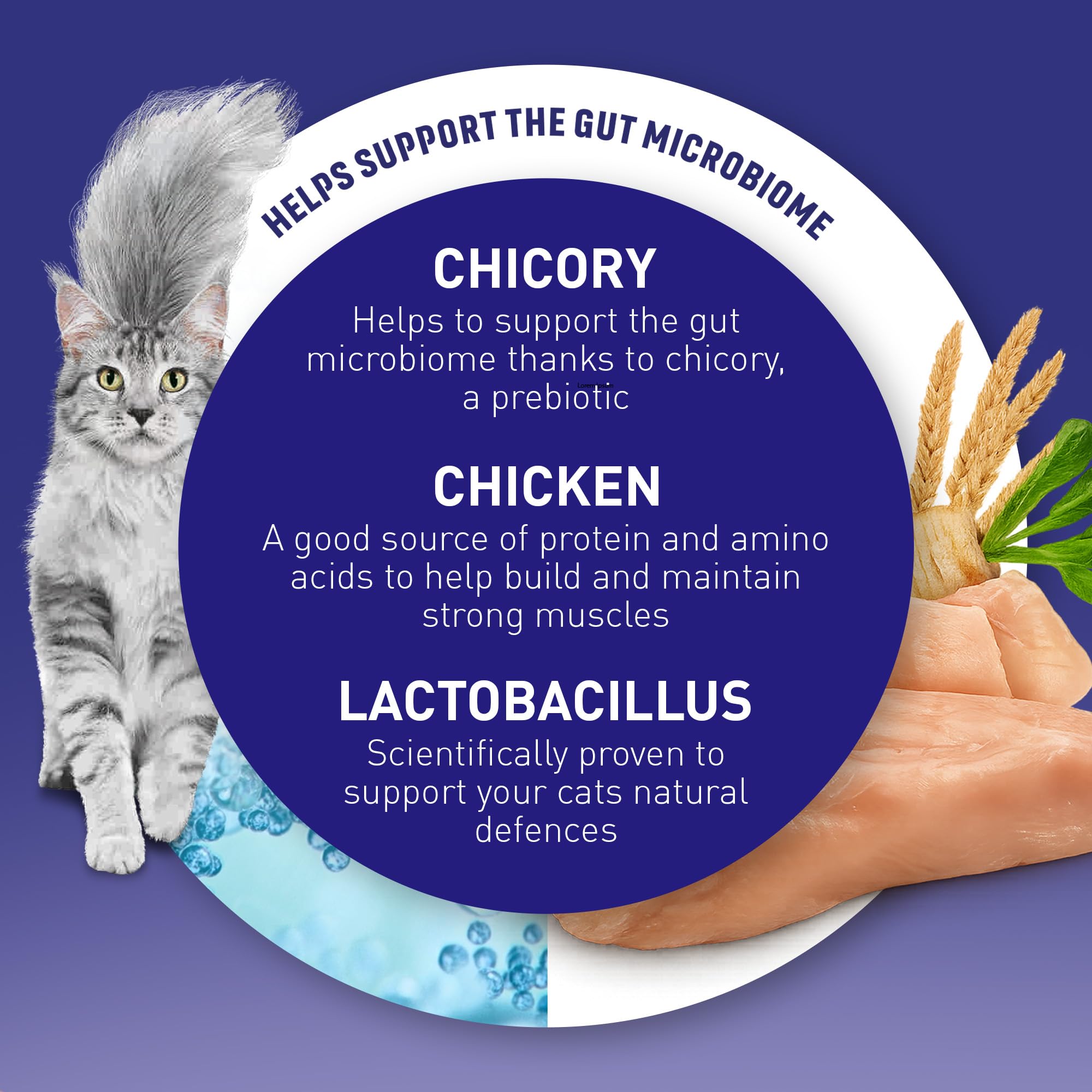 PURINA ONE Bifensis Adult Dry Cat Food Chicken 7.5kg Pack - 5