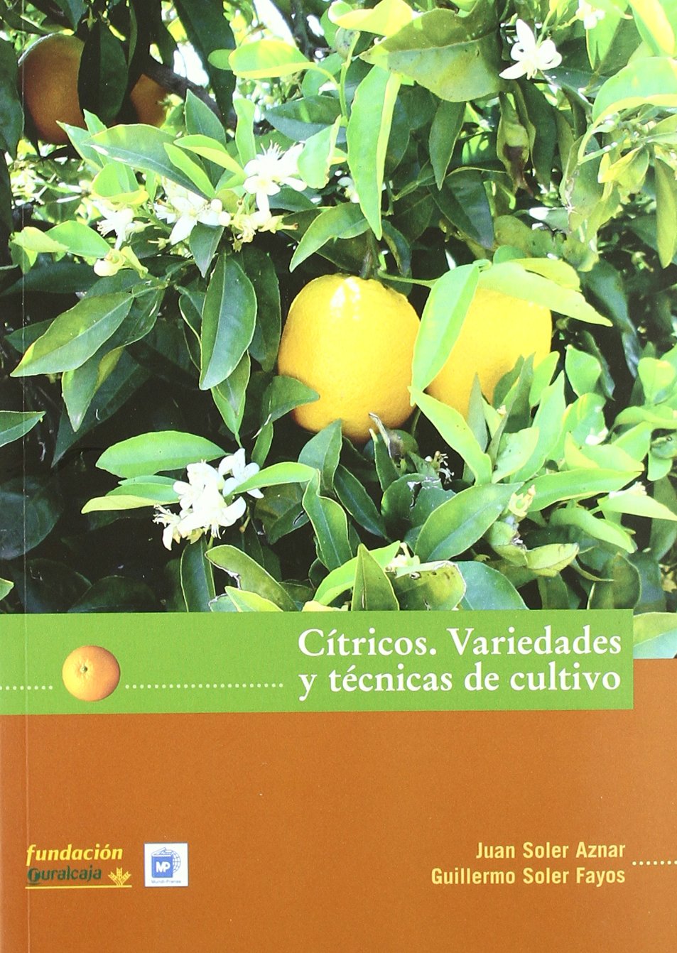 Cítricos: Variedades y técnicas de cultivo (Agricultura)