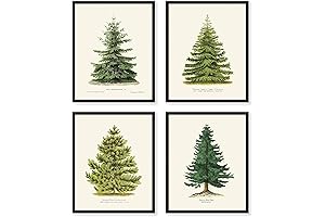 Goldie Days Set of 4 Christmas Print, Vintage Botanical Fir Tree Decorations