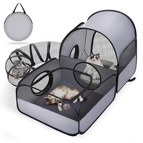Cat prison