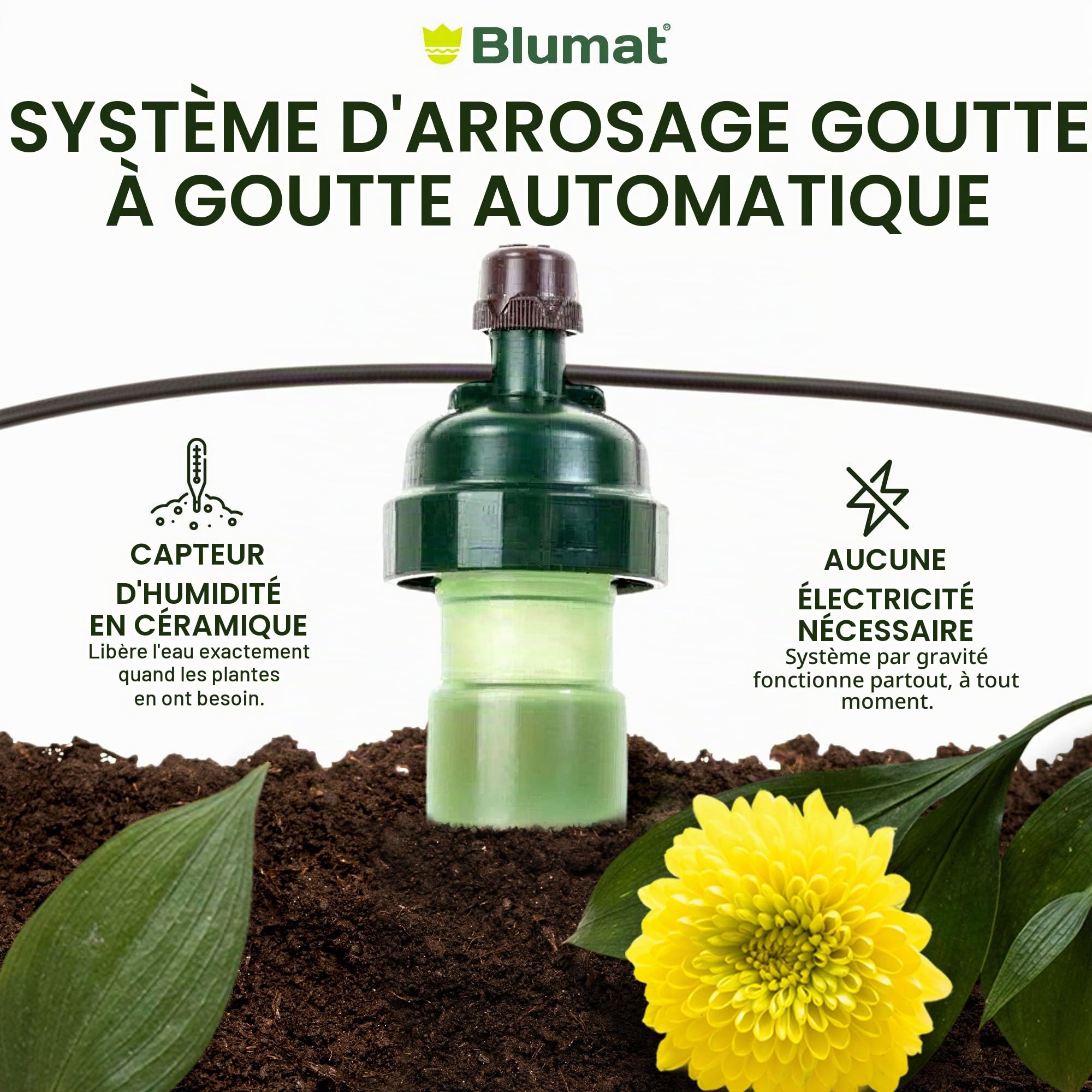 Blumat Système d'irrigation goutte à goutte - Tropf Medium Box - Dispositifs d'arrosage automatique pour jardin, terrasse et paniers suspendus - Système d'arrosage jusqu'à 12 plantes - Hydratation