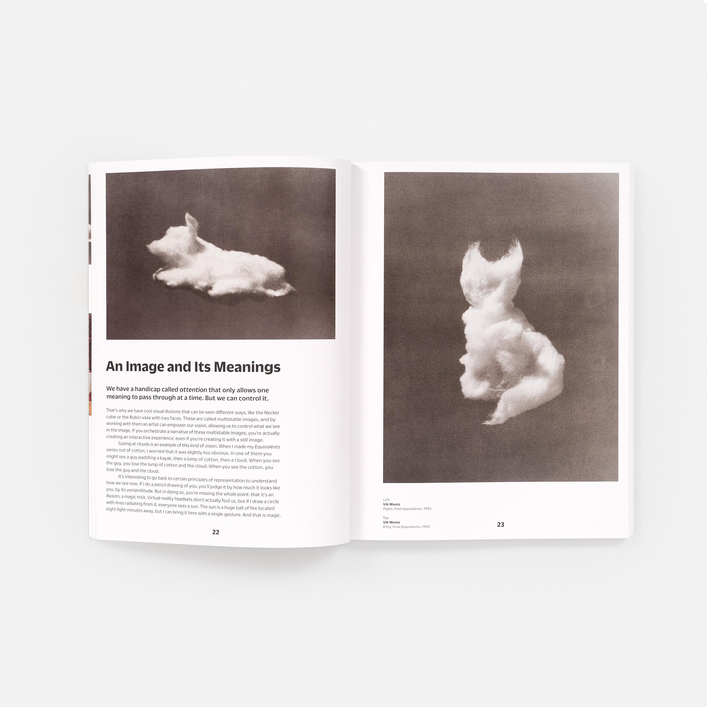 Vik Muniz The Photography Workshop Series /anglais: on photography, mind, and matter