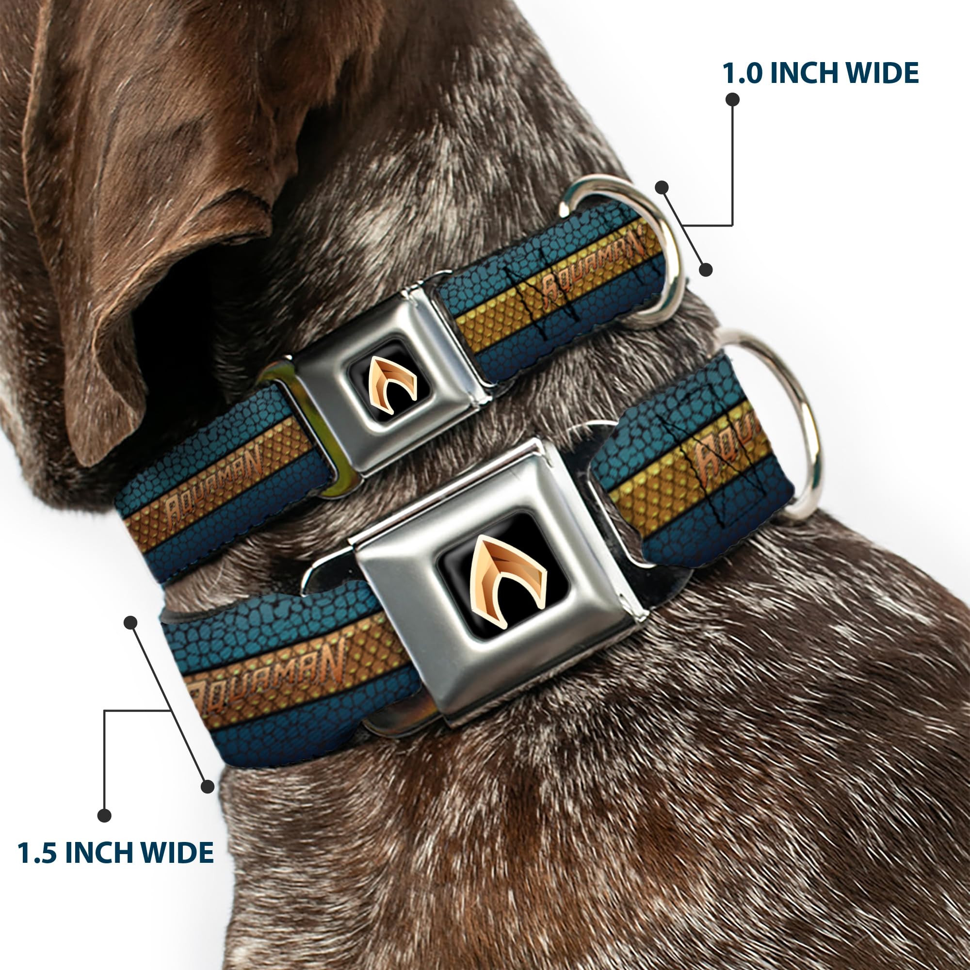 Buckle-Down Hundeleine Aquaman Design - 1,2 M Lang, 1,3 Cm Breit, Aus Strapazierfähigem Polyester