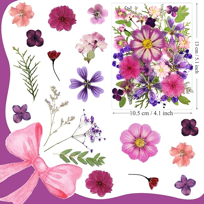 35 Piezas Flores Secas Prensadas Púrpura para Manualidades miniatura 5