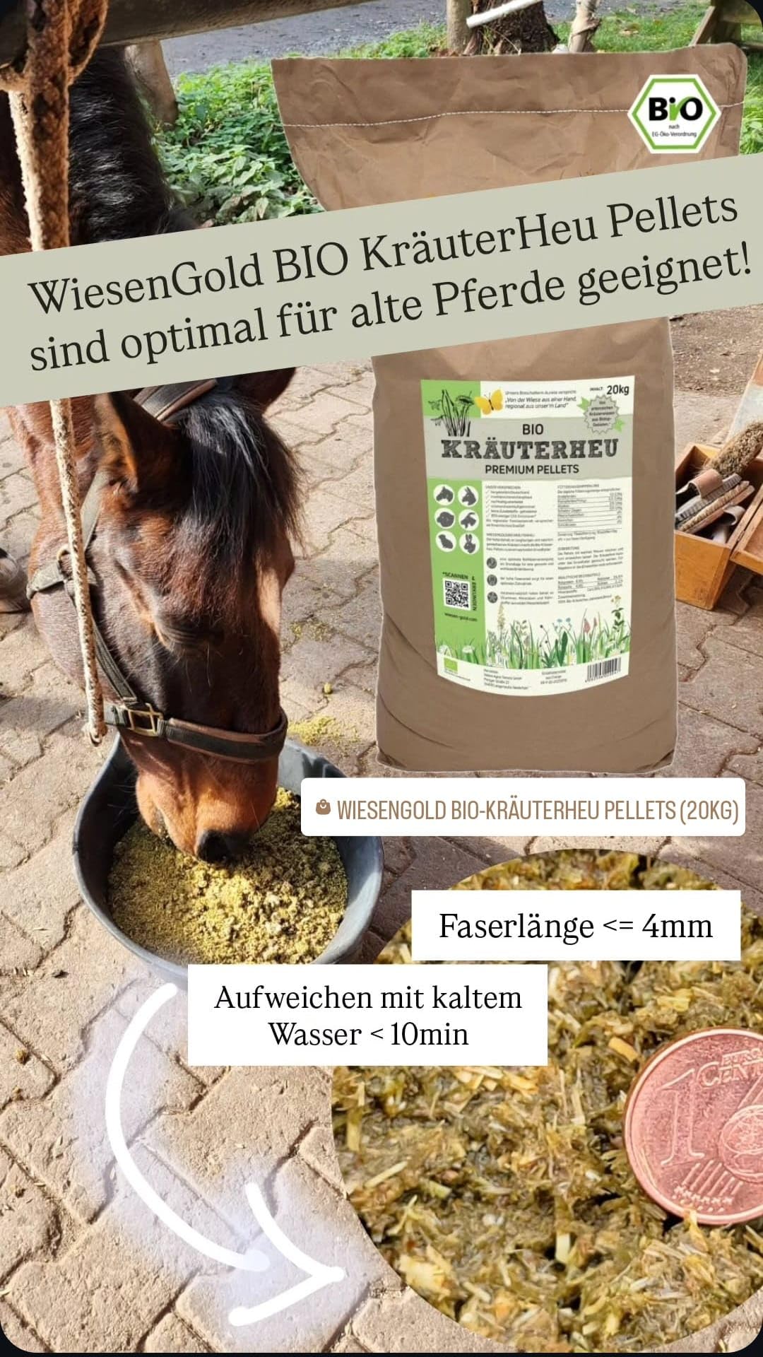 Heucobs Bio, Wiesencobs, WiesenGold® Bio KräuterHeu Pellets/Cobs (20kg) – Premium Pferdefutter, von artenreichen Kräuterwiesen, Melassefrei, ohne Zuckerzusatz, staubfrei, Bio Heupellets, Heu Cobs