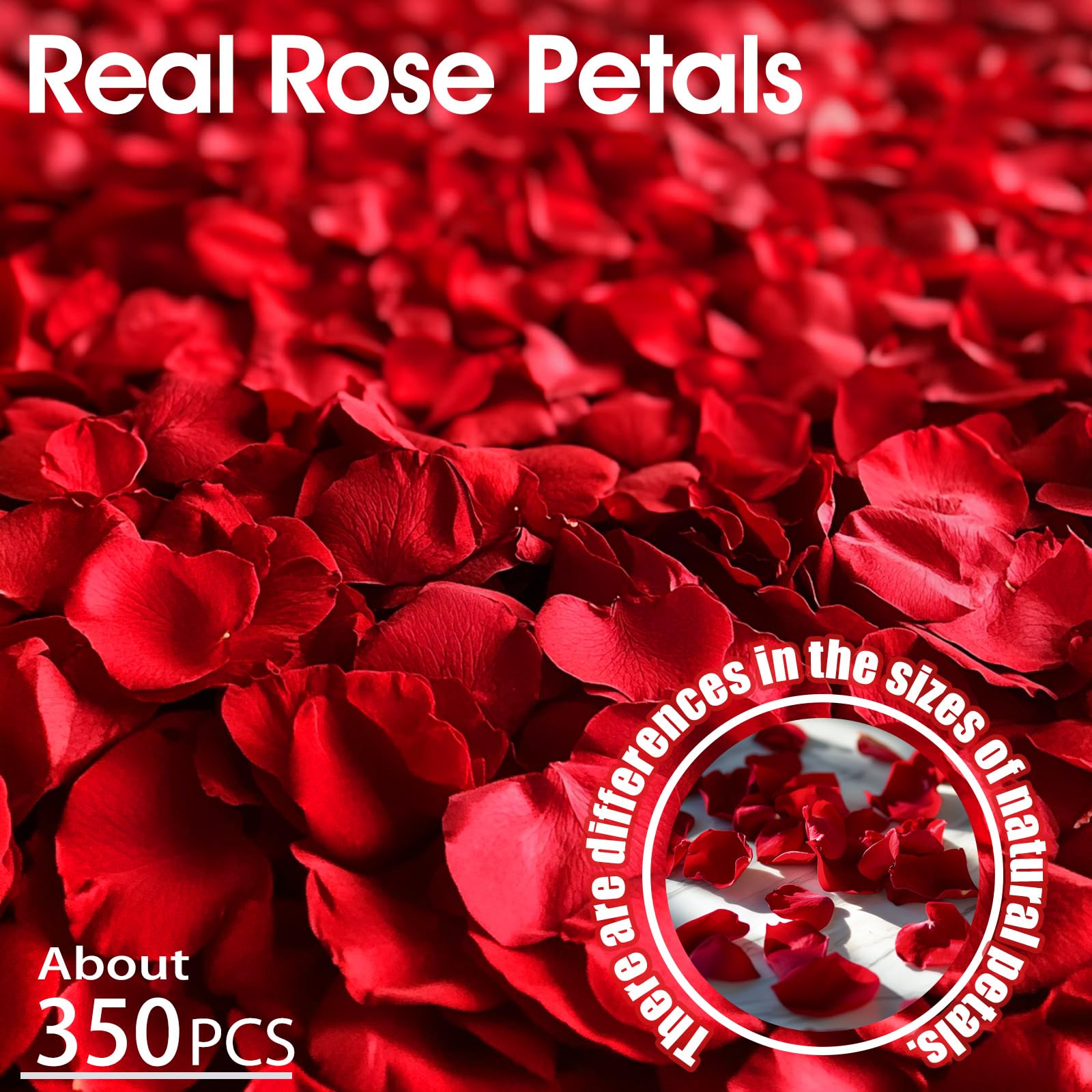 Eslibin 340 petali di rosa rossi veri, 89,9 g, petali di coriandoli per matrimoni, damigelle d'onore, da lanciare a feste di nozze, notte romantica, addio al nubilato, San Valentino