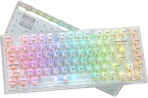 Womier 75% Gaming Keyboard: The Ultimate Gaming Arsenal