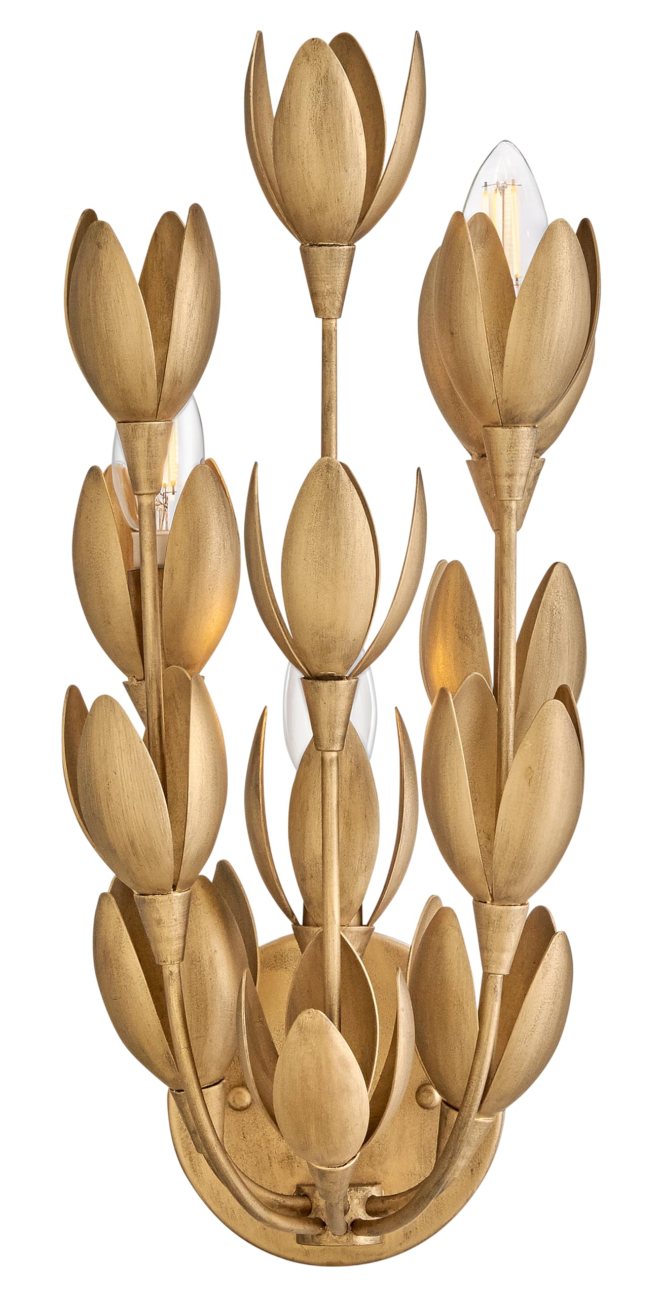 Hinkley Flora Medium Sconce, Burnished Gold - Amazon.com