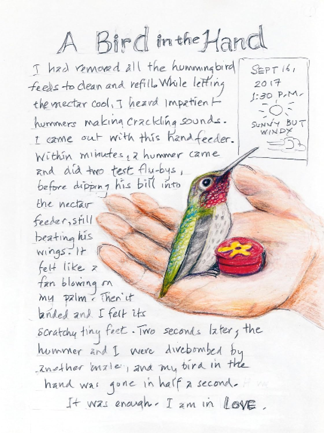 The Backyard Bird Chronicles - Image 4