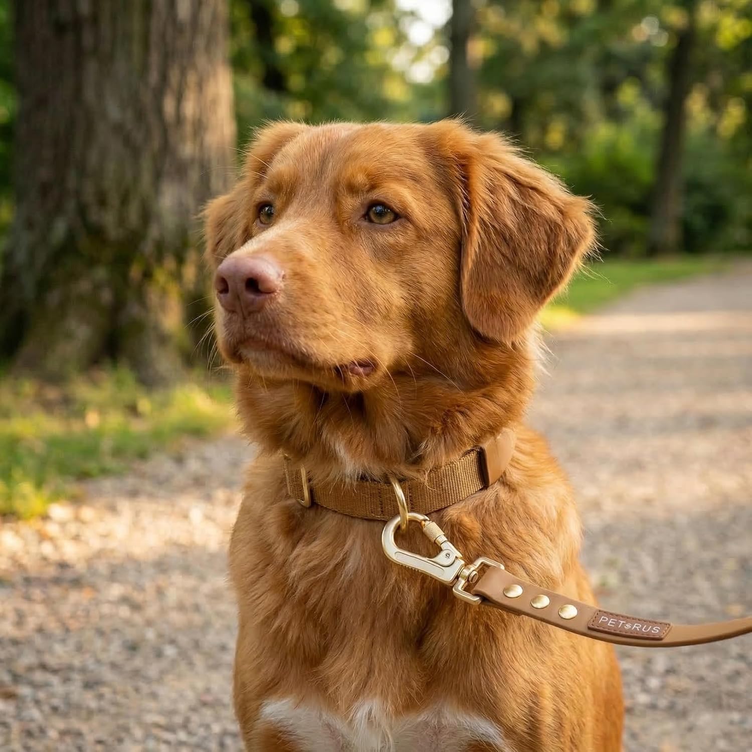 5ft Waterproof Dog Leash for Small, Medium, Large Dogs - Biothane Coated Odor-Proof Lead with Locking Carabiner, Heavy Duty Easy Clean Training Leash (Tan Brown - Gold)
