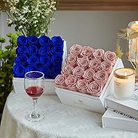 Vista 3 de Eterfield - Rosas conservadas que duran un año en caja Eterfield Rose de rosas auténticas, sin fragancia, regalo para su pareja